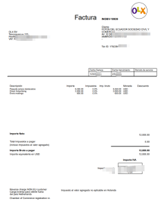 荷兰OLX发票模板Netherlands OLX Invoice Template-帮司令