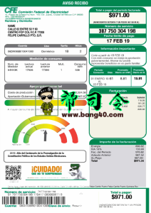 墨西哥 CFE 电力账单地址证明模板Mexico CFE Power Utility Bill Proof Of Address Template-帮司令