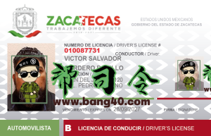 墨西哥驾驶执照 PSD 模板Mexico Driving License PSD Template-帮司令