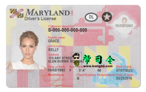 PSD 格式 V2 的马里兰州驾驶执照模板Maryland Driver License Template In PSD Format V2-帮司令