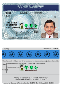 南澳大利亚驾驶执照模板South Australia Driver License Template-帮司令