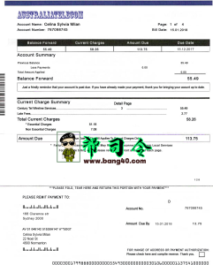 澳大利亚电信公用事业帐单 PSD 模板Australia Telecome Utility Bill PSD Template-帮司令