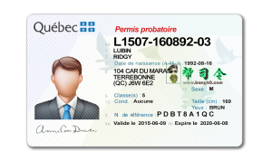 加拿大魁北克驾照PSD模板 (2022)Canada Quebec DL-帮司令