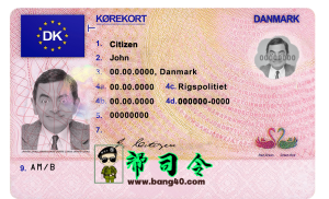 丹麦驾驶执照 PSD 模板Denmark Driver License PSD Template-帮司令