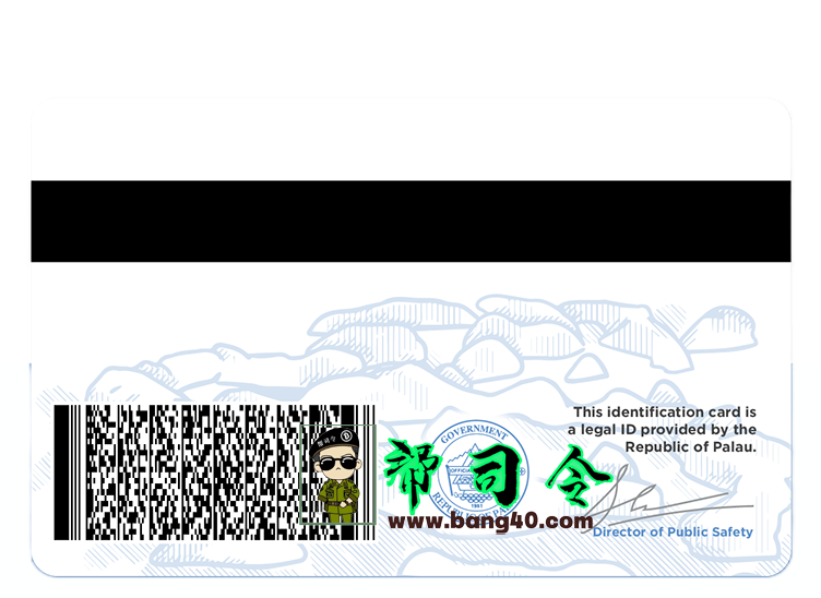 图片[2]-帕劳身份证 Photoshop 模板