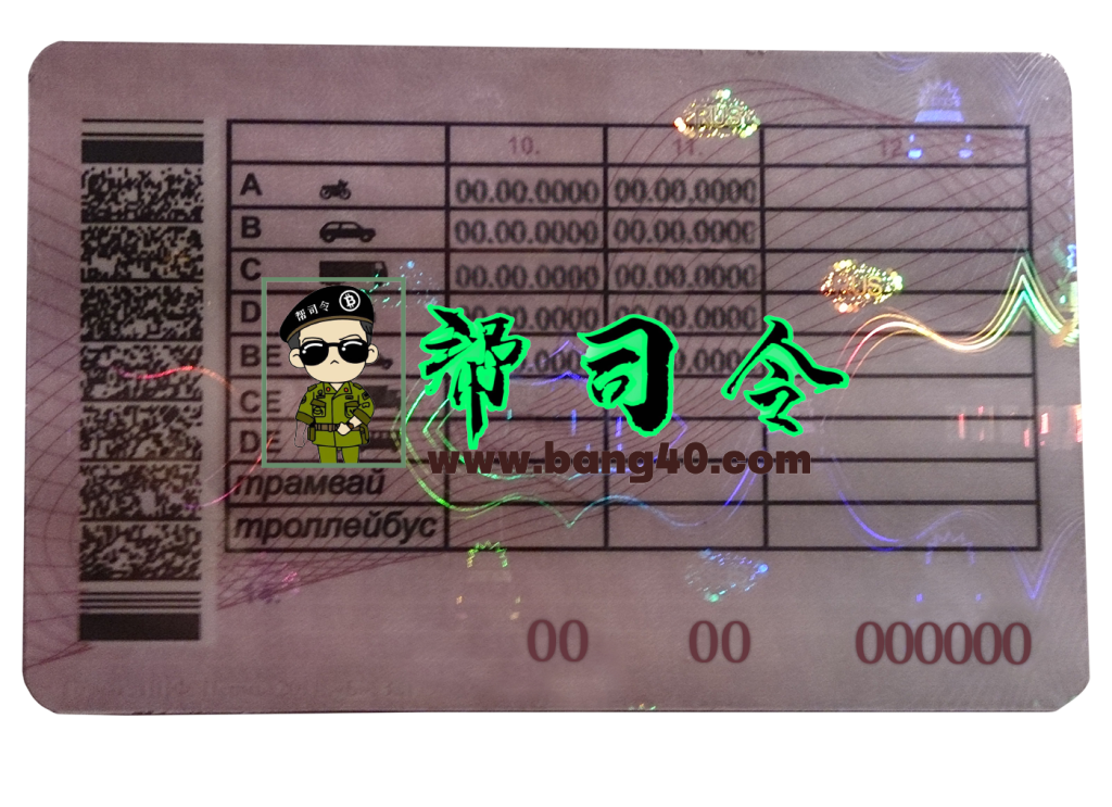 图片[2]-俄罗斯驾驶执照模板 V3