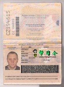 巴西护照 PSD 模板 V2Brazil Passport PSD Template V2\-帮司令