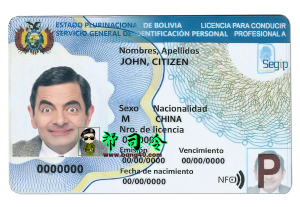 玻利维亚驾驶执照完全可编辑 PSD 模板 V2Bolivia driving license Fully Editable PSD Template V2-帮司令