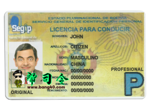 玻利维亚驾驶执照 PSD 模板Bolivia driving license PSD Template-帮司令