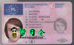波兰驾驶执照 PSD 模板 v2（只有正面）Poland Driver License PSD Template v2-帮司令
