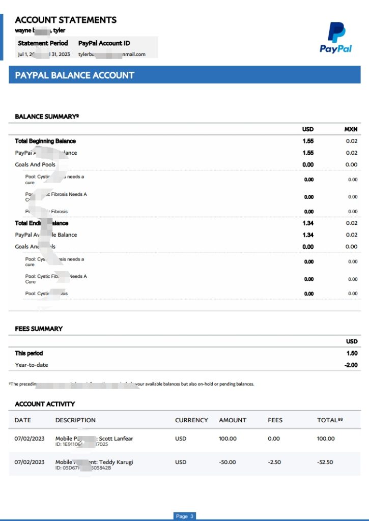 图片[3]-Paypal 帐户报表 Word 和 PDF 模板