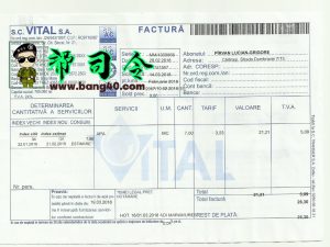 完全可编辑的罗马尼亚地址证明 Psd 模板Fully Editable Romania Proof Of Address Psd Template-帮司令