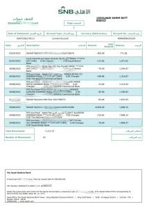 瑞士国家银行企业报表 Word 和 PDF 模板SNB Bank Enterprise Statement Word And PDF Template-帮司令