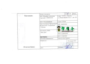俄罗斯法案 PSD 模板 V4Russia Bill PSD Template V4-帮司令