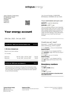 八达通能源公用事业账单 PDF 模板Octopus Energy Utility Bill Pdf Template-帮司令