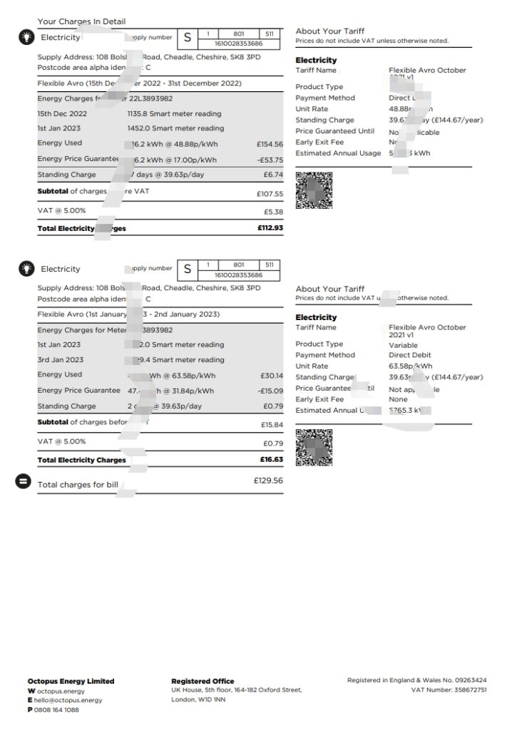 图片[2]-八达通能源公用事业账单 PDF 模板