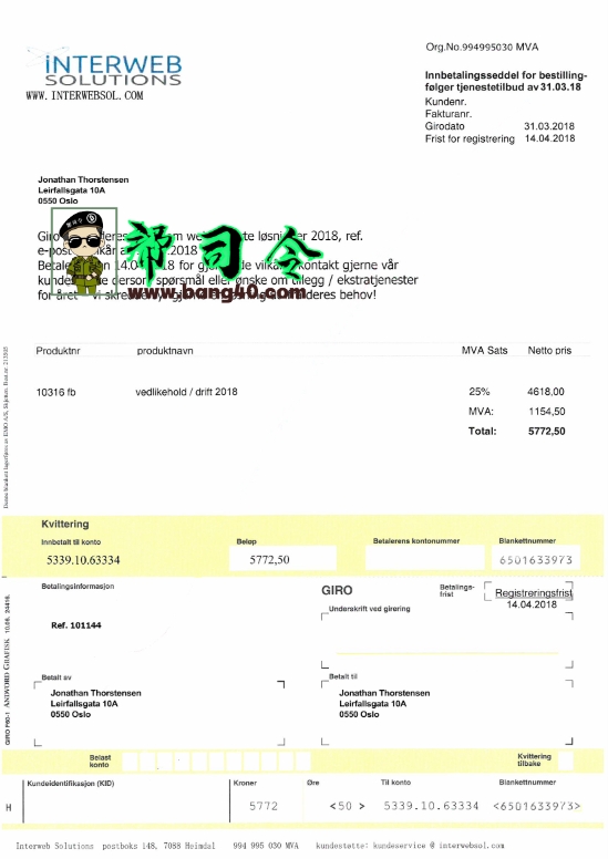 挪威 interweb 解决方案公用事业账单 PSD 模板