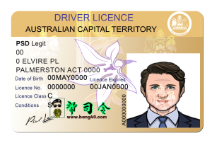 澳大利亚首都驾驶执照 PSD 模板Australian Capital Driver License PSD Template-帮司令