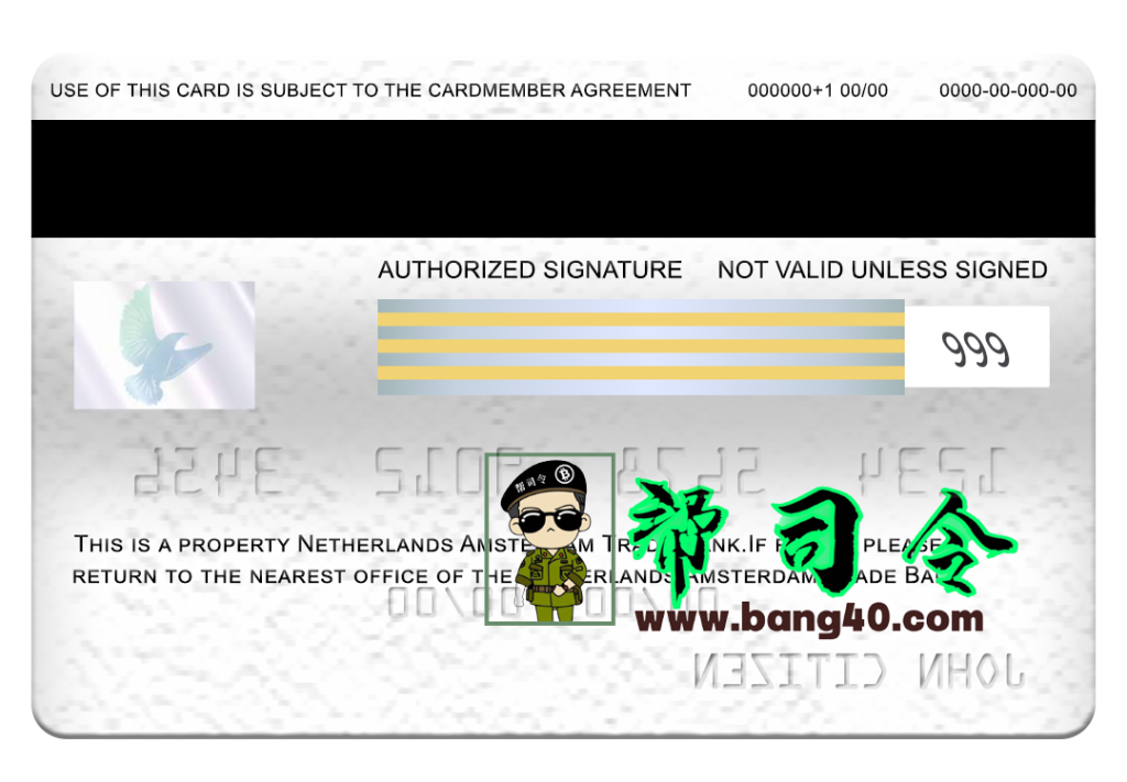 图片[2]-荷兰阿姆斯特丹贸易银行 Visa 卡 PSD 模板