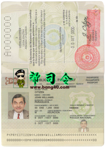 巴拉圭护照 PSD 模板Paraguay passport PSD template-帮司令