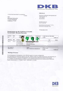 德国 DKB 银行对帐单 PSD 模板Germany DKB Bank Statement PSD Template-帮司令