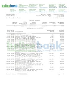 伯利兹银行 声明 Word 和 Pdf 模板belizebank statement Word And Pdf Template-帮司令