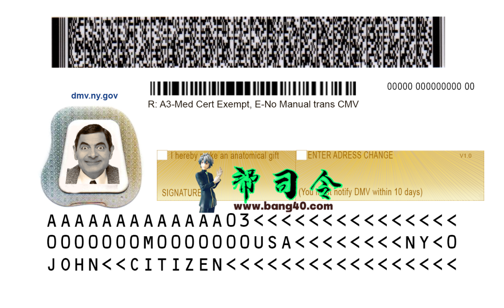 图片[2]-PSD 格式的美国纽约驾驶执照模板