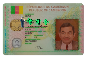 完全可编辑的喀麦隆身份证 PSD 模板Fully Editable Cameroon ID card PSD template-帮司令