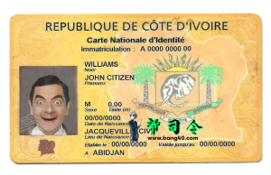 科特迪瓦身份证 PSD 模板Cote Divoire id card PSD template-帮司令