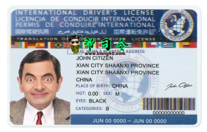 国际驾驶执照psd模板International driving license psd template-帮司令