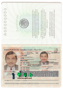 墨西哥护照 PSD 模板（版本 4）Mexico passport PSD Template (version 4)-帮司令