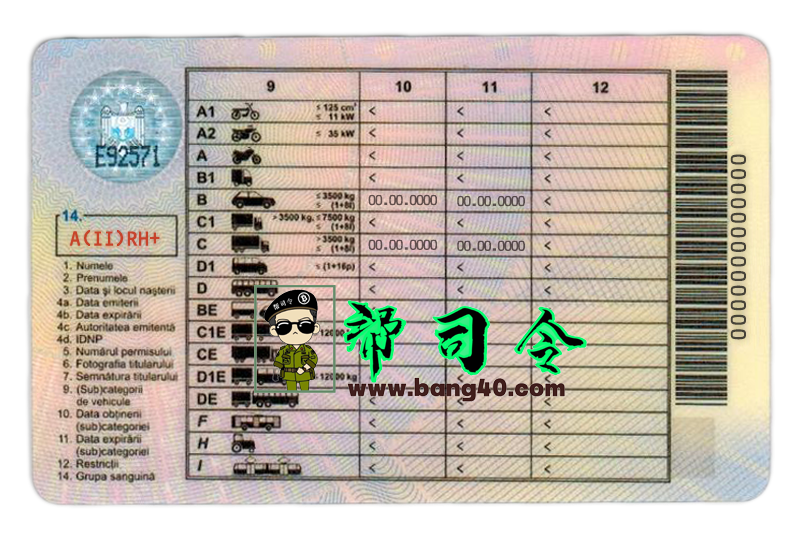 图片[2]-摩尔多瓦驾驶执照 PSD 模板