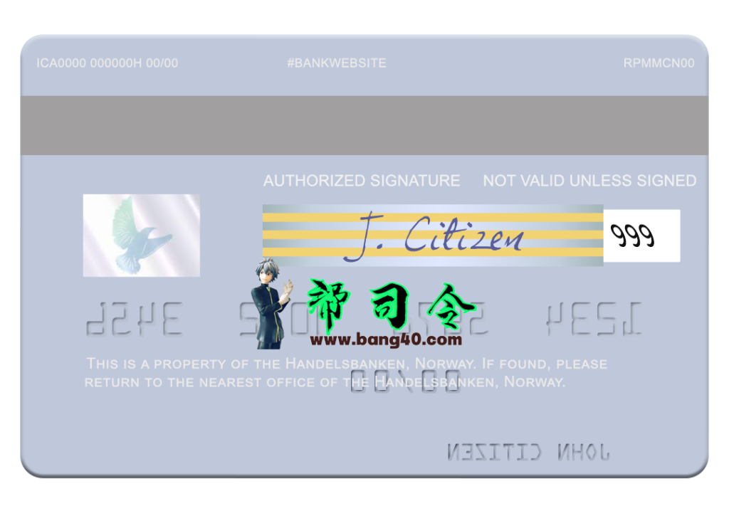 图片[2]-挪威商业银行签证借记卡 PSD 模板