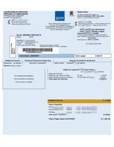 阿根廷 Aysa 水费账单模板（Word 和 PDF 格式）Argentina Aysa water utility bill template in Word and PDF format-帮司令