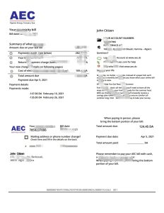 阿尔及利亚 AEC 阿尔及利亚能源公司水电费账单模板Algeria AEC Algerian Energy Company utility bill template-帮司令