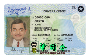 美国怀俄明州驾驶执照模板 PSD 格式 V3USA Wyoming state driving license template in PSD format V3-帮司令