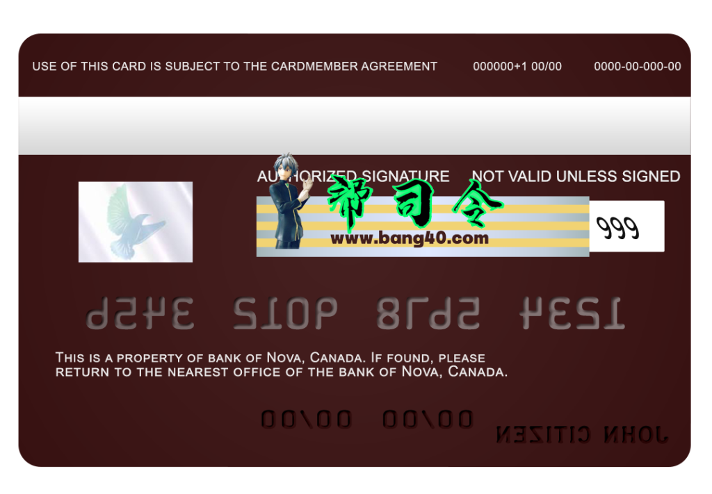 图片[2]-加拿大 Nova 银行 Visa 卡 PSD 模板