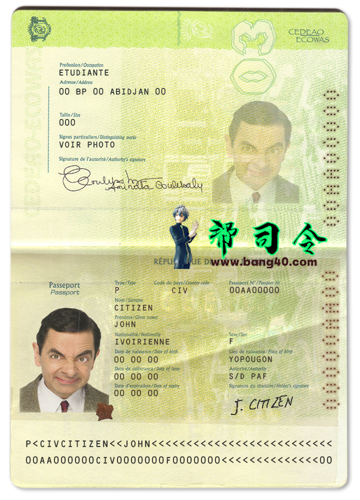 正宗科特迪瓦护照 PSD 模板