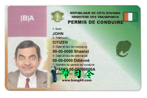 科特迪瓦驾驶执照 PSD 模板Côte d’Ivoire Driver license PSD Template-帮司令