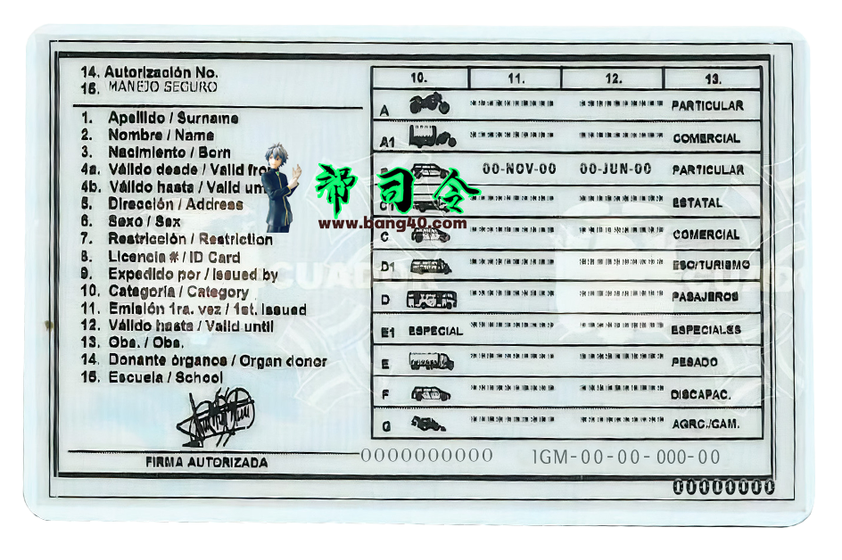 图片[2]-厄瓜多尔驾驶执照 PSD 模板