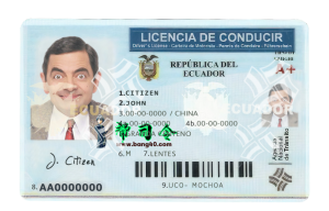厄瓜多尔驾驶执照 PSD 模板Ecuador driver license PSD template-帮司令