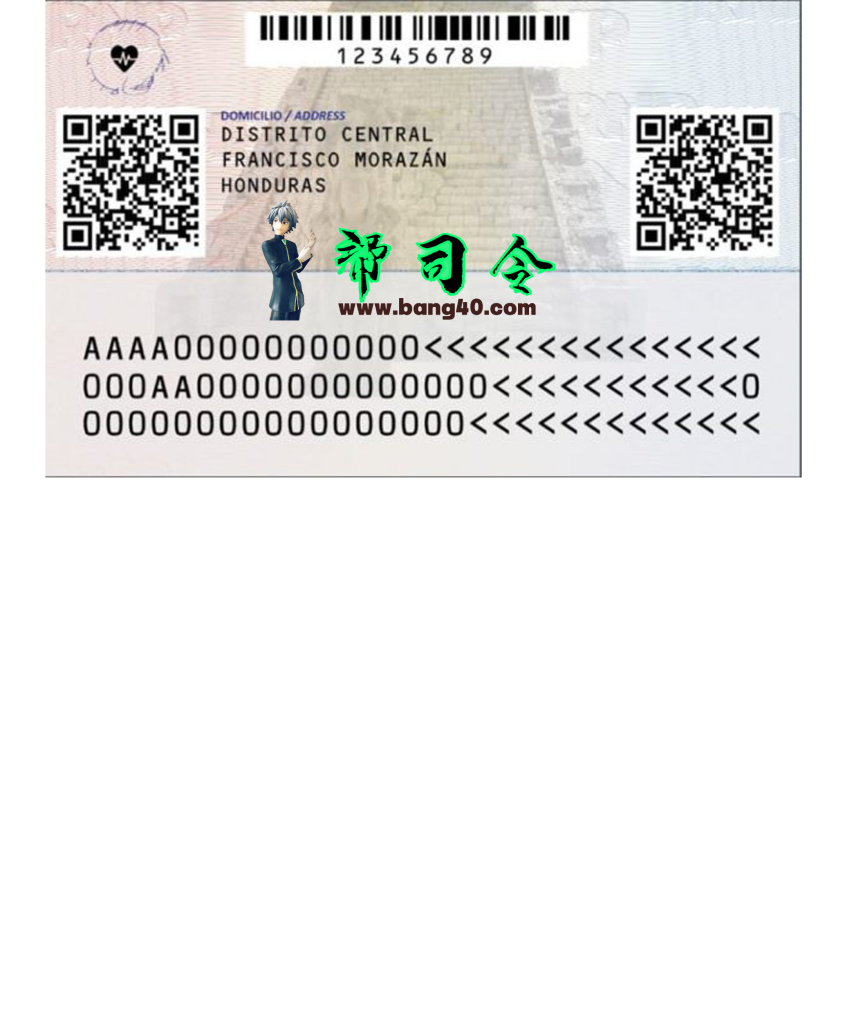图片[2]-洪都拉斯身份证 PSD 模板