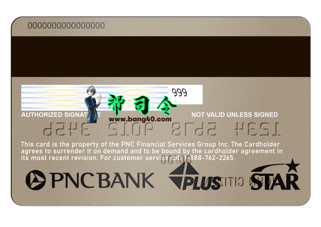 图片[2]-美国 PNC 银行 Visa 借记卡模板 (PSD 格式)