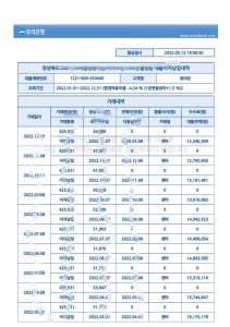韩国友利银行还款账单pdf模板South Korea Woori Bank Statement-帮司令
