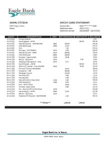 瑙鲁鹰银行对账单模板（Word 和 PDF 格式）Nauru Eagle bank statement template in Word and PDF format-帮司令