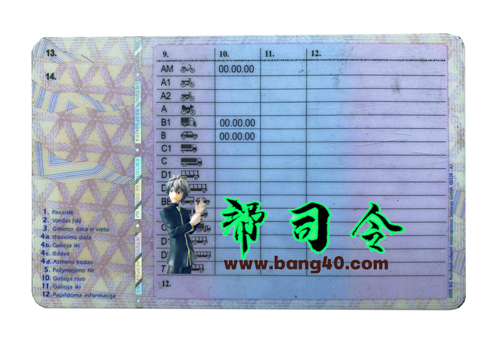 图片[2]-立陶宛 (Litva) 驾驶执照 PSD 模板