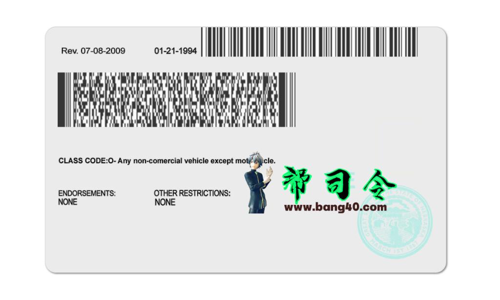 图片[2]-美国内布拉斯加州驾驶执照 PSD 模板