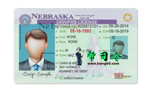 美国内布拉斯加州驾驶执照 PSD 模板USA Nebraska driving license PSD template-帮司令