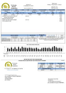 美国 Tri County Electric Cooperative 公用事业账单模板（Word 和 PDF 格式）USA Tri County Electric Cooperative utility bill template in Word and PDF format-帮司令