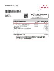比利时 Luminus 公用事业账单模板Belgium Luminus utility bill template-帮司令